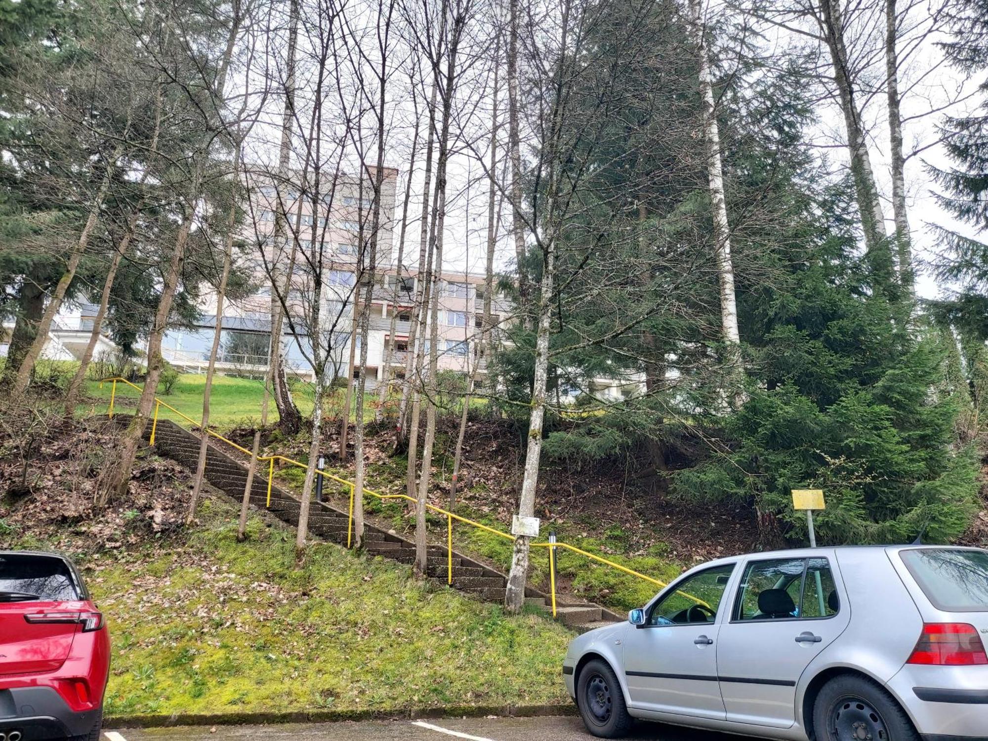 Fewo Mit Pool In Baiersbronn Appartement Buitenkant foto